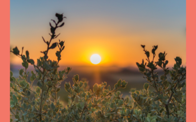 Nudging leaders to achieve extraordinary outcomes