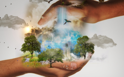 Navigating Responsible Leadership in a Rapidly Changing Landscape